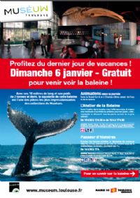 Venez voir la baleine à Toulouse et c'est gratuit !. Le dimanche 6 janvier 2013 à Toulouse. Haute-Garonne. 